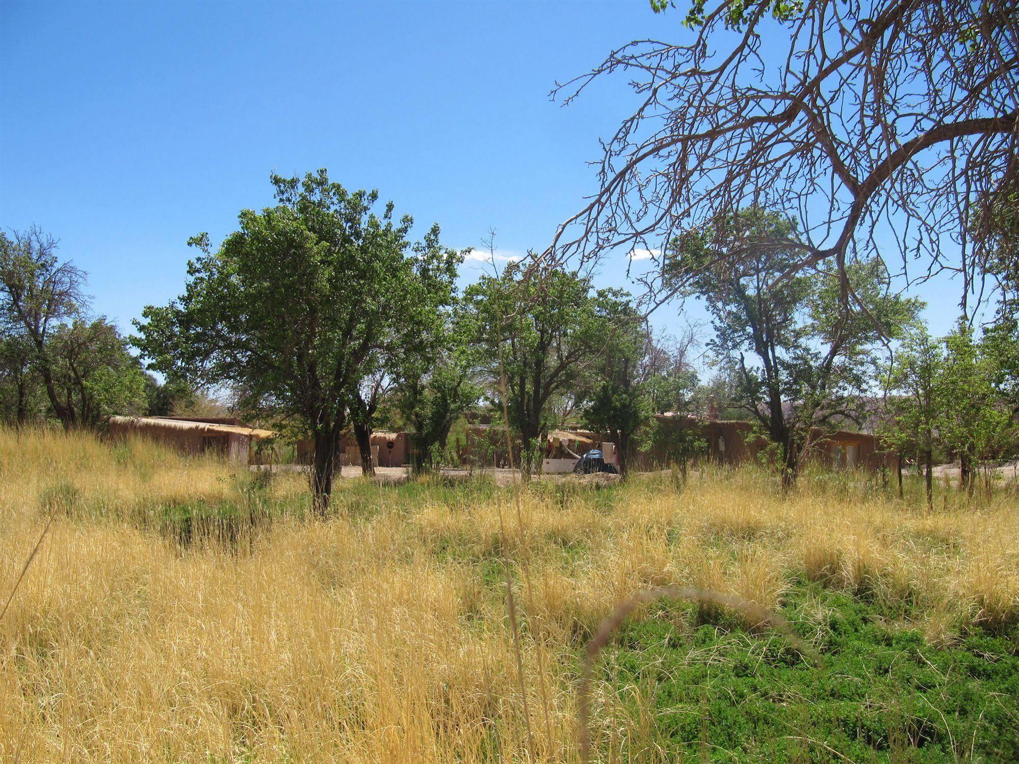 Rancho Quitapenas Bungalows سان بيدرو دي أتاكاما المظهر الخارجي الصورة